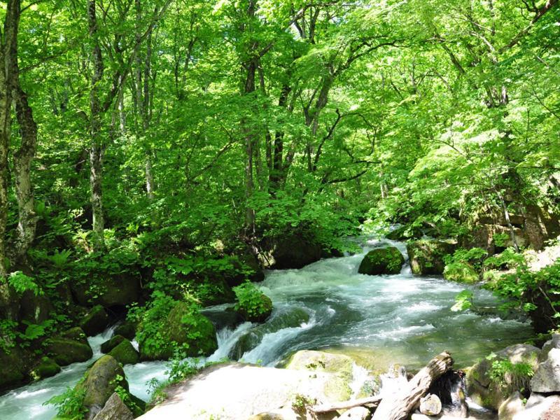 Отель Towadako Sanso Kazuno Экстерьер фото